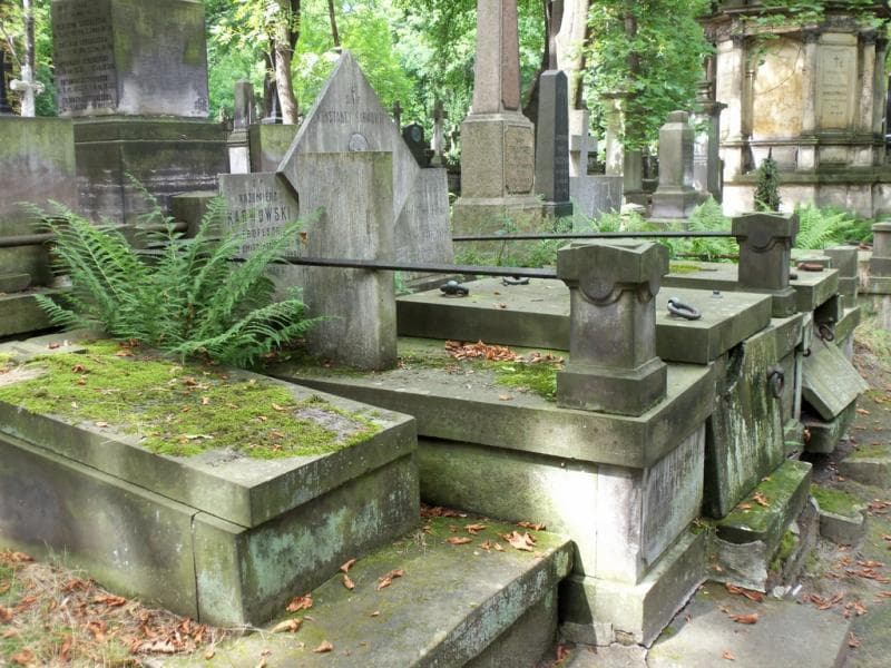 Zdjęcie grobu Maria Pepłowska (1)