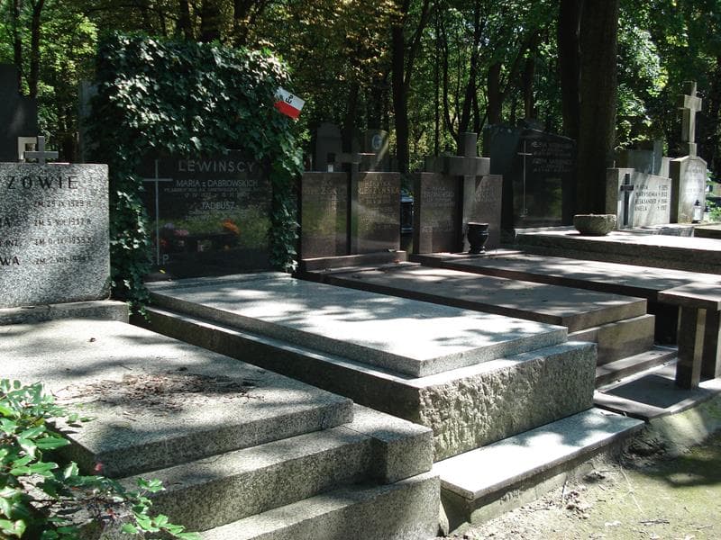 Zdjęcie grobu Tadeusz Lewiński (1)