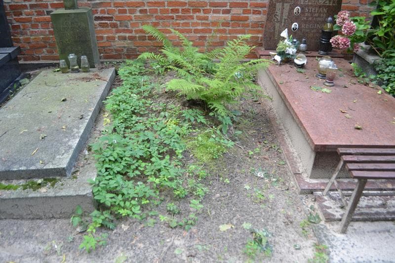 Zdjęcie grobu: Pole Grobowe