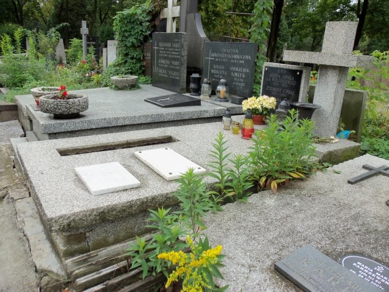 Zdjęcie grobu Zygmunt Lipski (1)