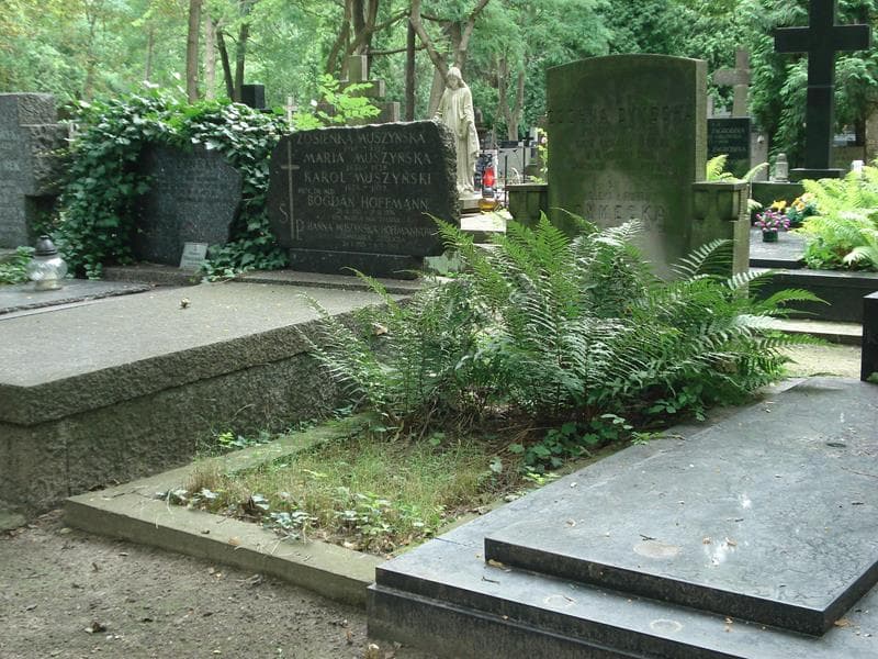 Zdjęcie grobu Helena Dymecka (1)