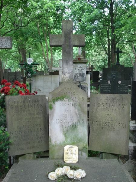 Zdjęcie grobu Teodor Gościniak (1)