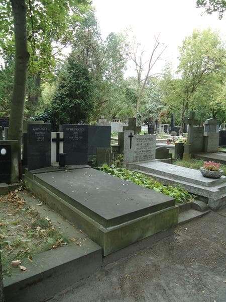Zdjęcie grobu Jan Strupiński (1)