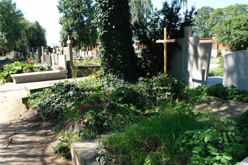 Zdjęcie grobu: Kazimierz Brzeziński