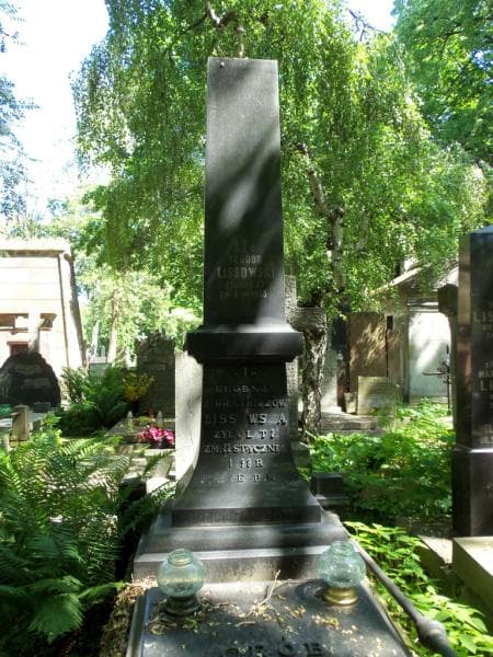 Zdjęcie grobu Eugeńja Lissowska (2)