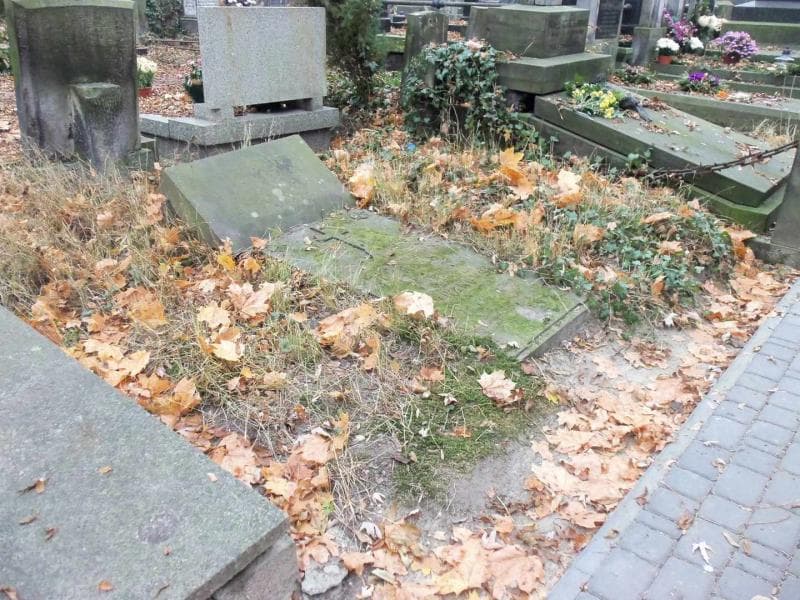 Zdjęcie grobu Regina Dworakowska (1)