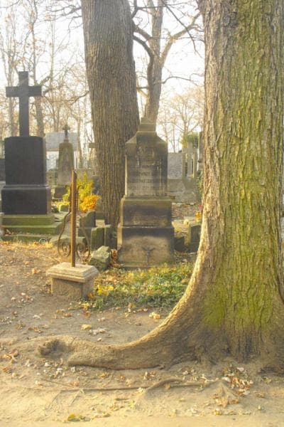 Zdjęcie grobu: Antoni Jeleniewski