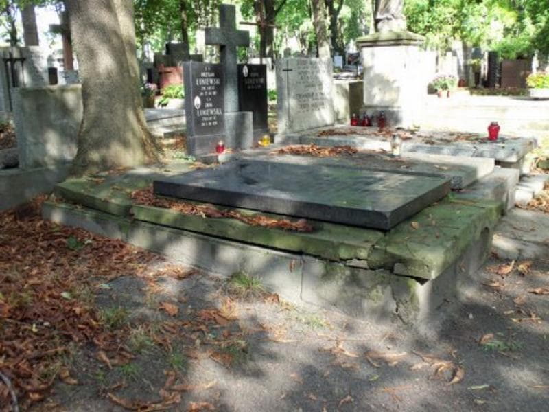 Zdjęcie grobu Feliks Dołęga Wermiński (1)