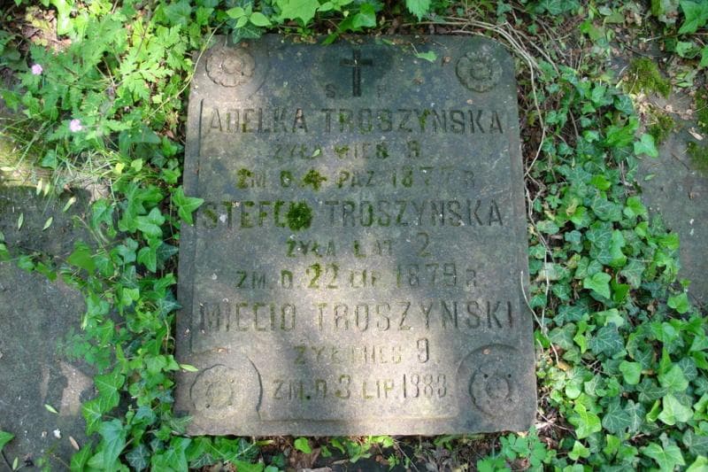 Zdjęcie grobu Stefcia Troszyńska (2)