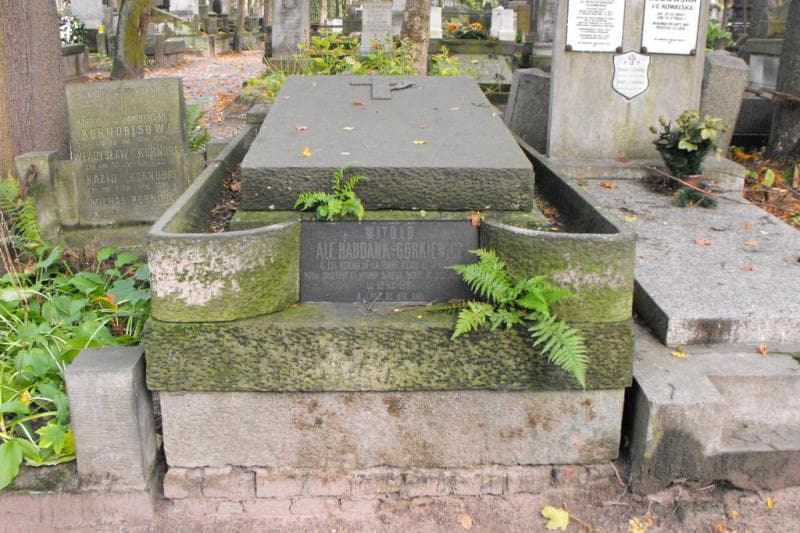 Zdjęcie grobu: Witold Alf. Habdank - Górkiewicz