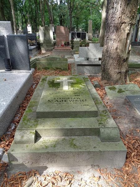 Zdjęcie grobu Stanisław Majewski (1)