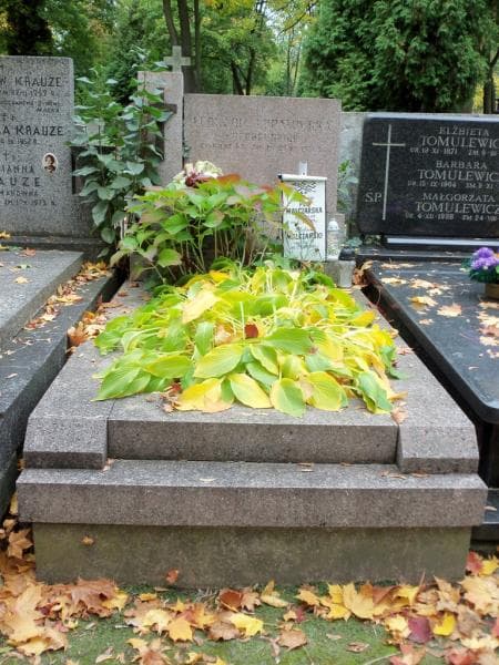 Zdjęcie grobu: Stefan Malczarski