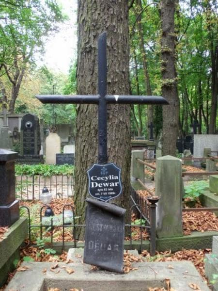Zdjęcie grobu Cecylia Dewar (2)
