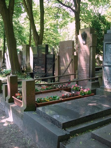 Zdjęcie grobu: Zofia Kozielewska