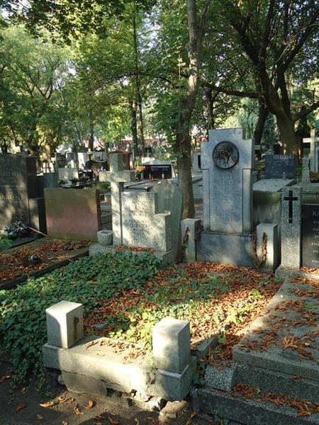 Zdjęcie grobu Jadwiga Zbyszyńska (1)