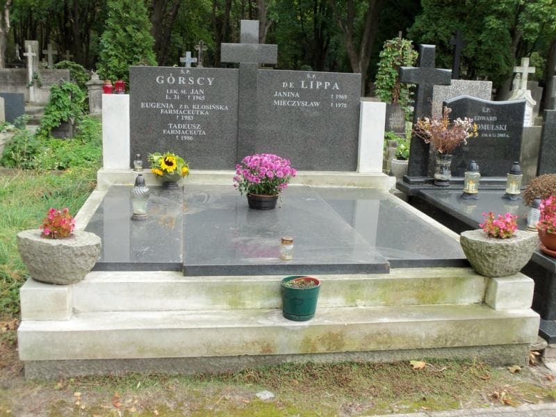 Zdjęcie grobu: Jan Górski