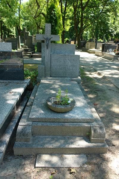 Zdjęcie grobu Mieczysław Wężyk (1)