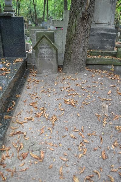 Zdjęcie grobu Scholastyka Domańska (1)