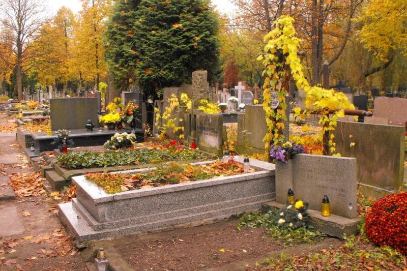Zdjęcie grobu Eleonora Niwińska (1)