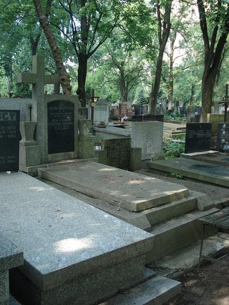 Zdjęcie grobu Julia Tuszyńska - Sygitowicz (1)