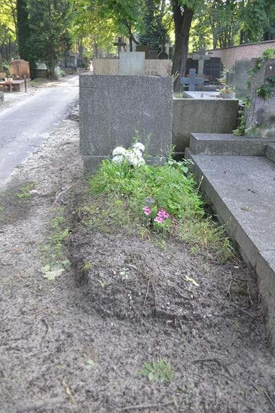 Zdjęcie grobu Apolonia Rutkowska (1)