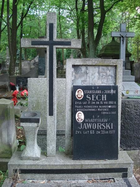 Zdjęcie grobu Władysław Jaworski (2)