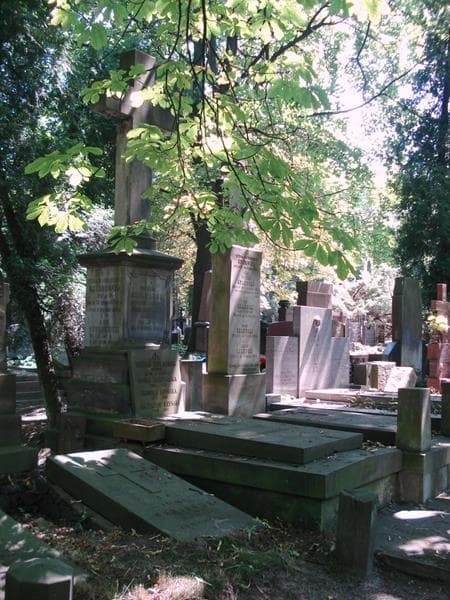 Zdjęcie grobu: Jadwiga Kryńska