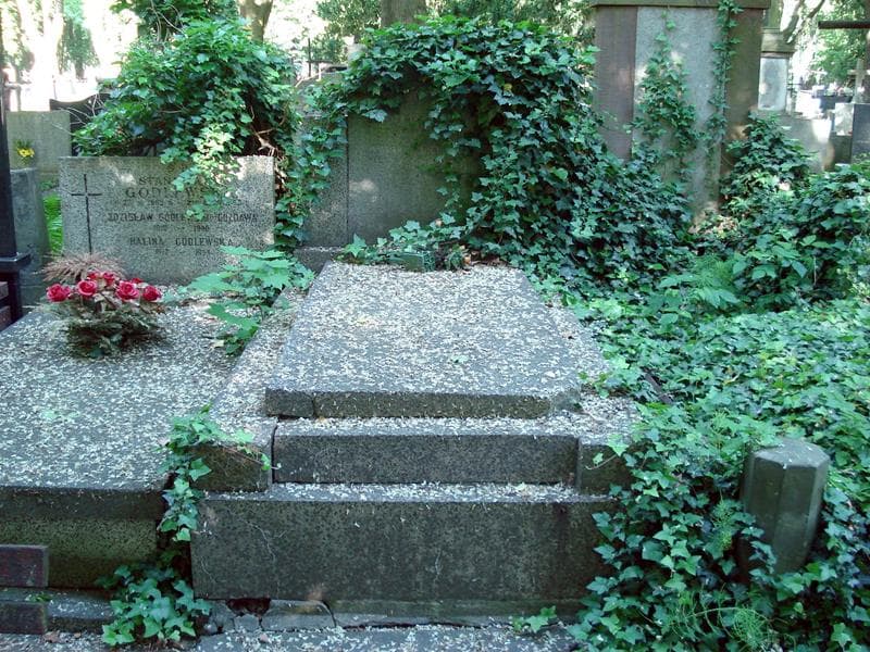 Zdjęcie grobu: Stanisława Bielecka