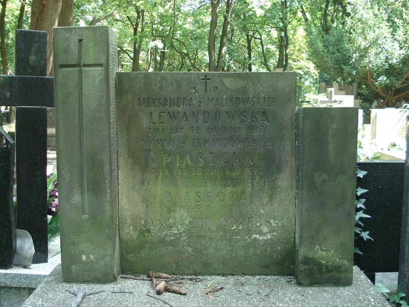 Zdjęcie grobu Franciszek Obrębski (1)