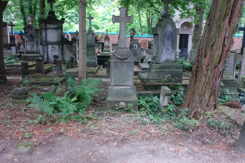 Zdjęcie grobu: Albert Krzyżanowski