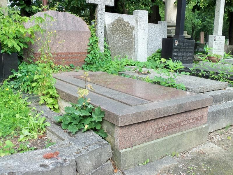 Zdjęcie grobu Zofia Brzeska (1)