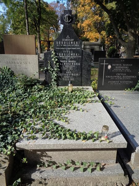 Zdjęcie grobu Jan Pietrusiński (1)