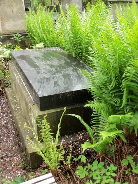Zdjęcie grobu Eugenia Thelie (2)