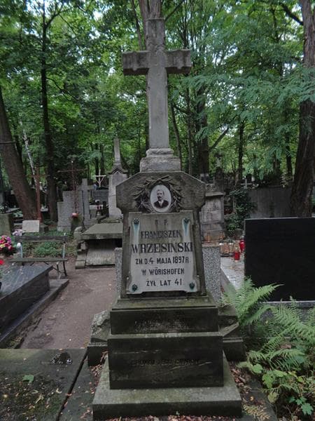 Zdjęcie grobu Franciszek Wrzesiński (2)