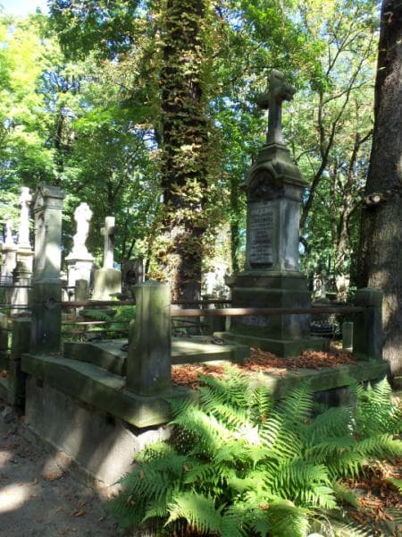 Zdjęcie grobu Oleś Leśniewski (1)