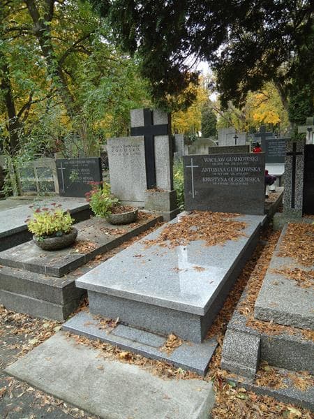 Zdjęcie grobu Krystyna Olszewska (1)