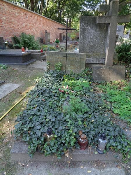 Zdjęcie grobu Edward Napiórkowski (1)