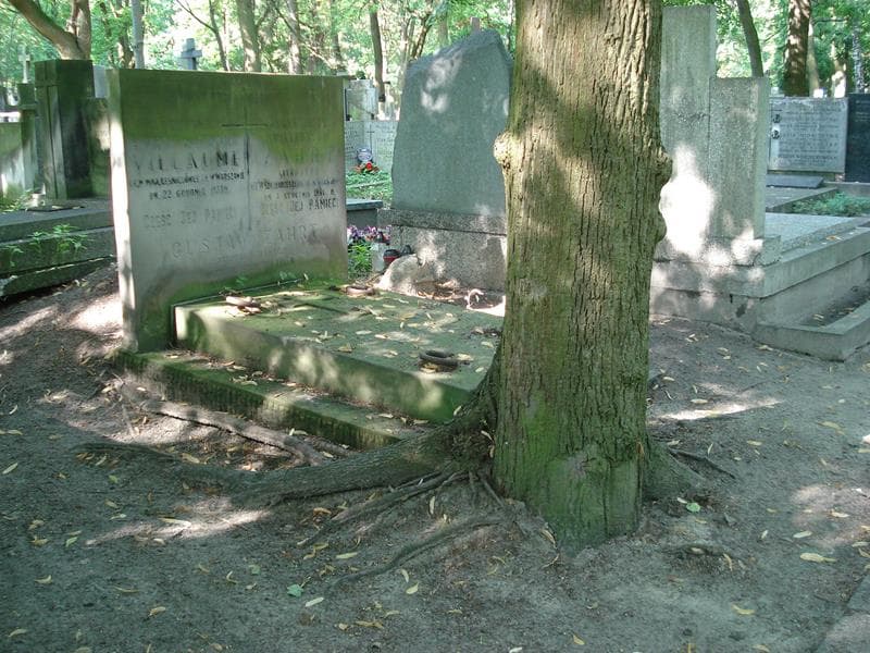 Zdjęcie grobu Henryka Villaume (1)