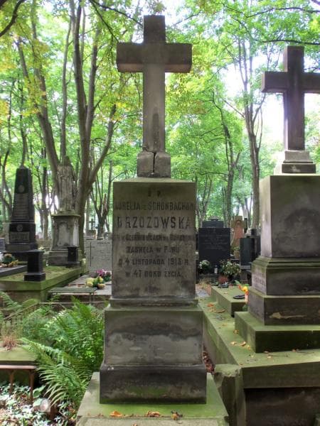 Zdjęcie grobu Aurelia Brzozowska (2)