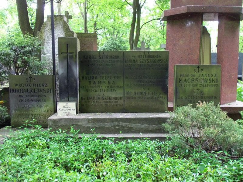 Zdjęcie grobu Irena Horbaczewska (2)