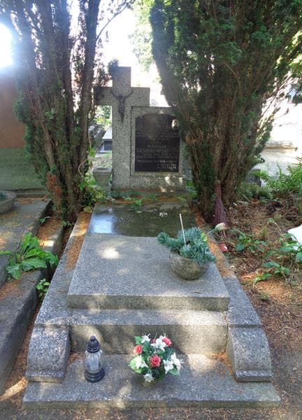 Zdjęcie grobu Władysław Gąsiorowski (1)