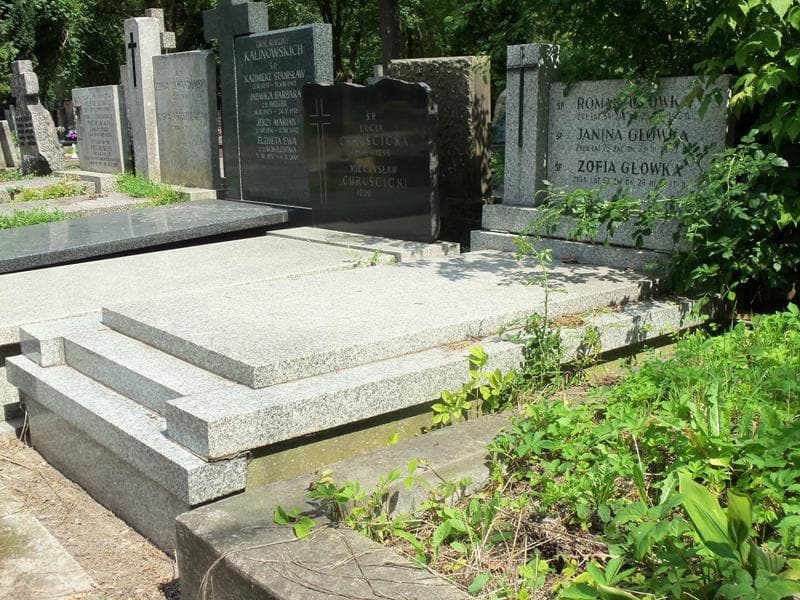 Zdjęcie grobu Janina Główka (1)