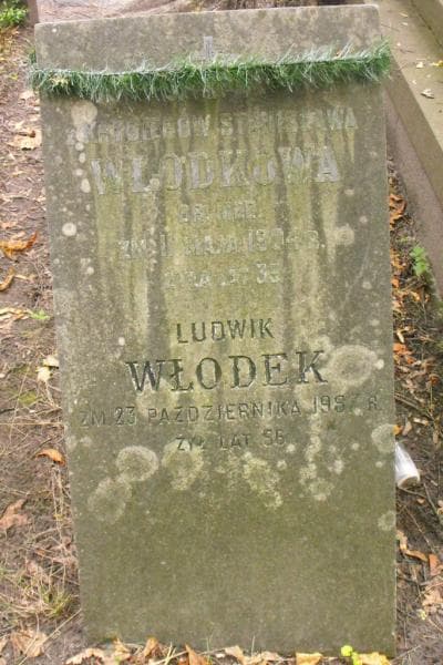 Zdjęcie grobu Ludwik Włodek (2)