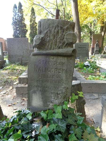 Zdjęcie grobu Stanisław Waligórski (2)