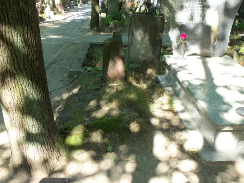 Zdjęcie grobu Julja Tomaszewska (1)
