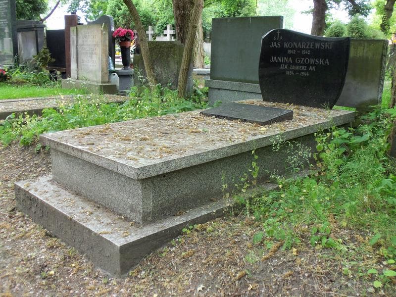 Zdjęcie grobu Janina Gzowska (1)