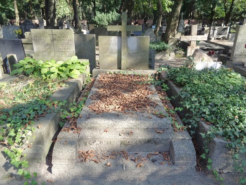 Zdjęcie grobu Witold Niwiński (1)