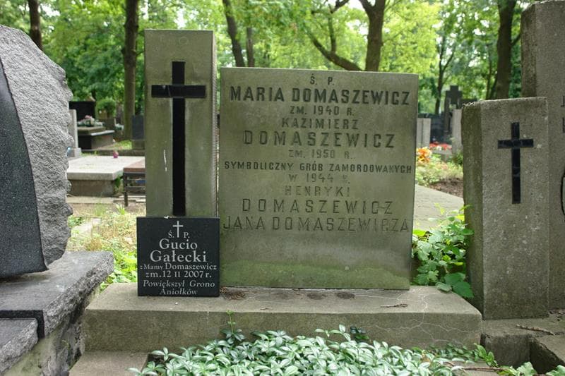 Zdjęcie grobu Jan Domaszewicz (2)