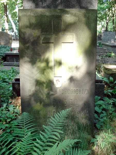 Zdjęcie grobu Matylda Leśniewska (1)