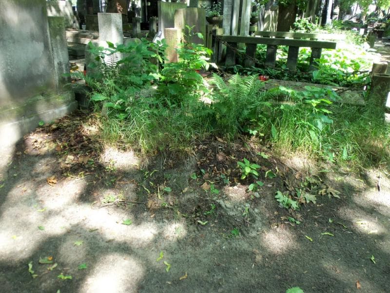 Zdjęcie grobu Pole Grobowe (2)
